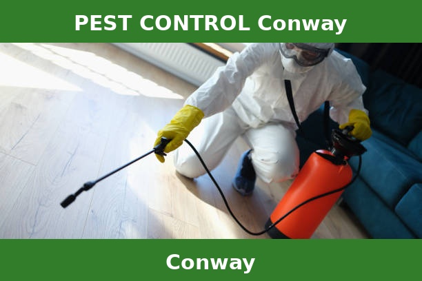 PEST CONTROL Conway